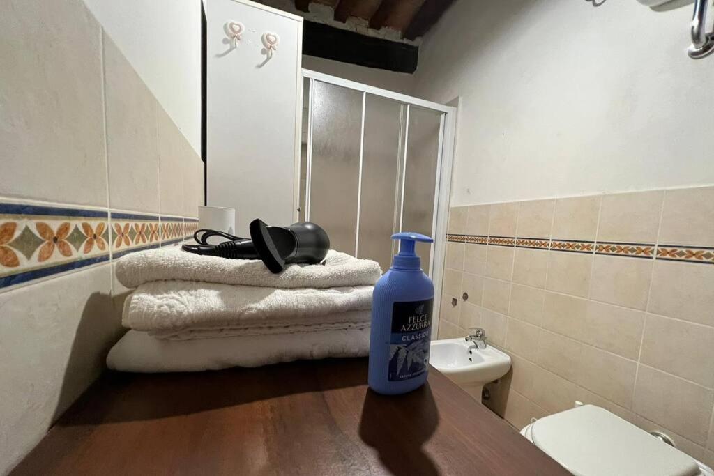 L'Angolo Del Barbacane Terricciola Exterior foto